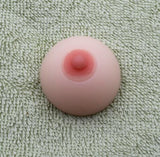Creative Toys, Small Animals, Cute Pets, Seals, Small Dumplings, Venting, Decompression And Squeezing