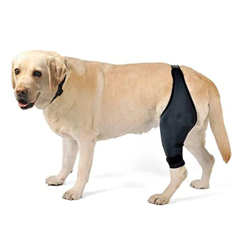 Pet Dog Front And Rear Leg Fracture Fixed Protective Gear