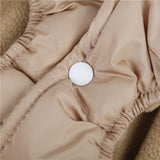 Pet Clothes For Autumn And Winter Warm Dog Clothes For Winter