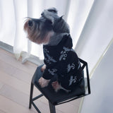 Pet clothes fall/winter sweater