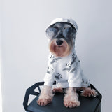 Pet clothes fall/winter sweater