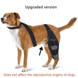Pet Supplies Dog Knee Pad Protective Gear Surgical Injury Protective Cover
